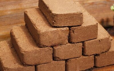 Coconut Peat