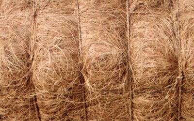 Coconut Fiber