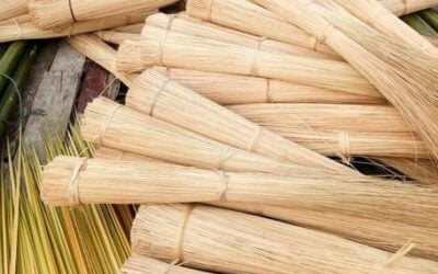 Broom Stick