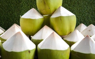 Young Coconut