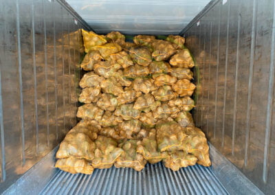 agrio coco first shipment