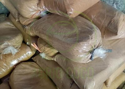 arenga sugar exporter