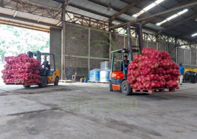 best coconut supplier indonesia
