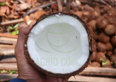 best copra