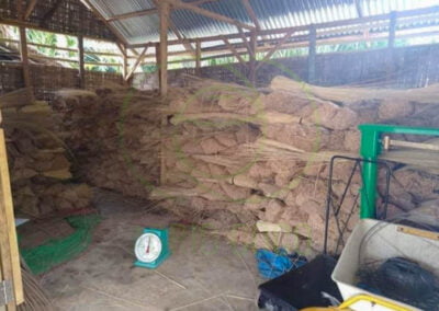 broom stick exporter 1