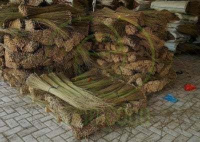 broom stick exporter 2
