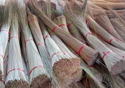 broom stick exporter 3