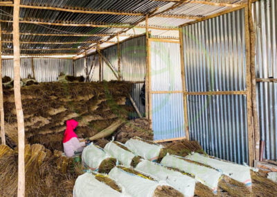 broom stick supplier 1