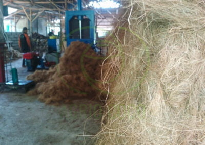 coco fiber exporter 1