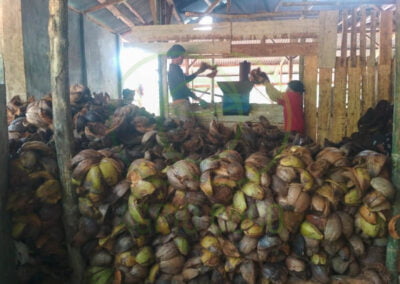 coco fiber exporter 2