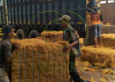coco fiber exporter 3