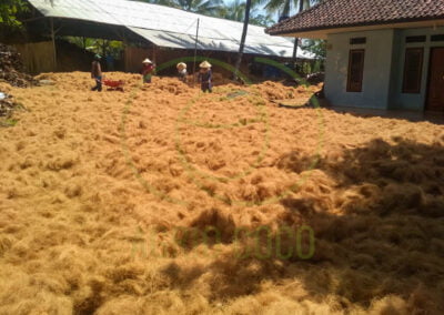 coco fiber exporter 4