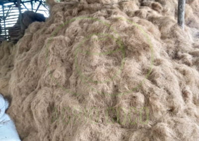 coco fiber indonesia 3