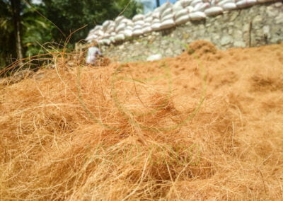 coco fiber indonesia 4