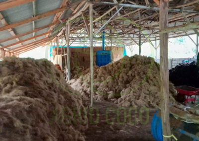 cocofiber 3