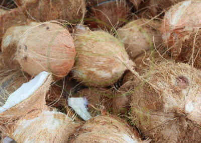 coconut