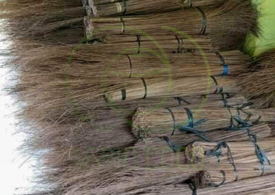 coconut broom stick 3