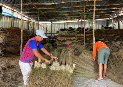 coconut broom stick supplier 2