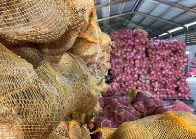 coconut export