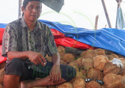 coconut farmer