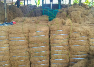 coconut fiber 1