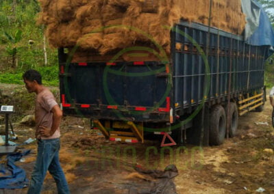 coconut fiber 3