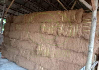 coconut fiber manufacture 1