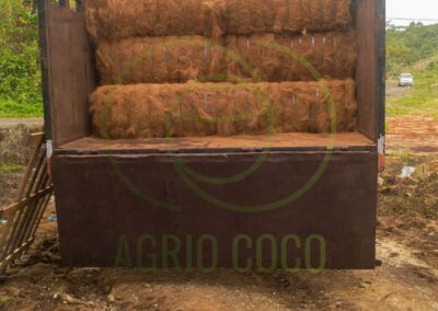 coconut fiber manufacture 2