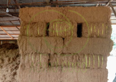 coconut fiber manufacture 3