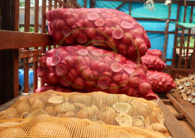 coconut meat dry