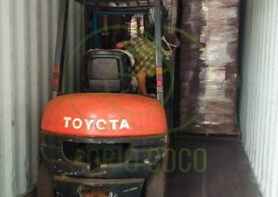 coconut peat exporter