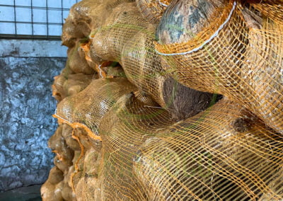 coconut semi husked exporter
