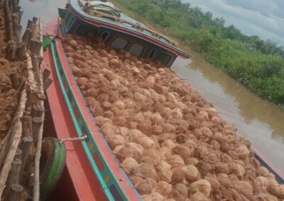 coconut shipping