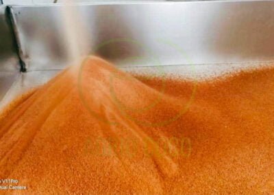 coconut sugar 1