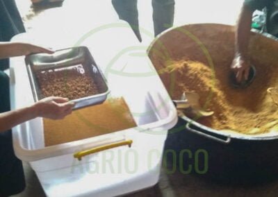 coconut sugar indonesia supplier