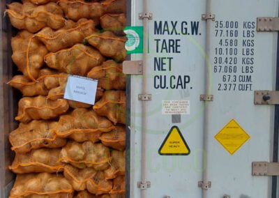 coconut supplier indonesia