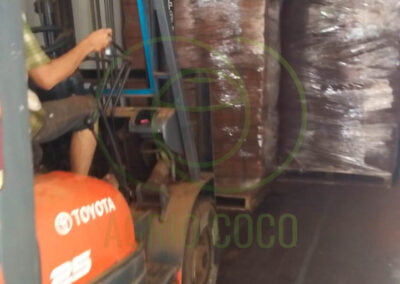 cocopeat exporter