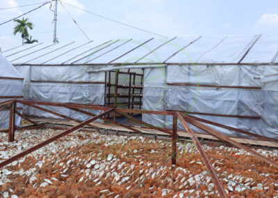 copra manufacture