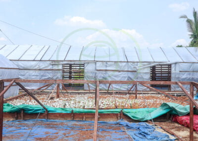 copra process