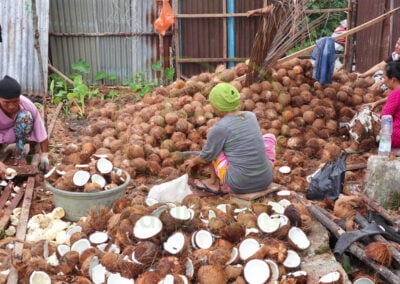 copra processing 1