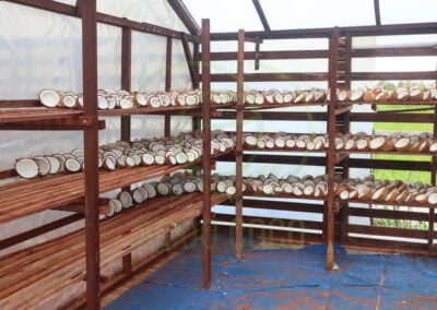 copra producer
