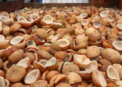 copra supplier indonesia