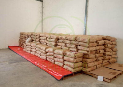 desiccated coconut exporter