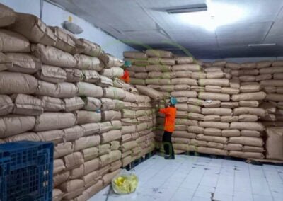 desiccated coconut indonesia
