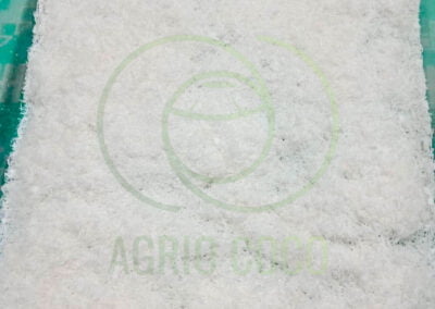extra fine desiccated coconut