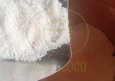 high fat desiccated coconut indonesia