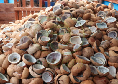 indonesia copra