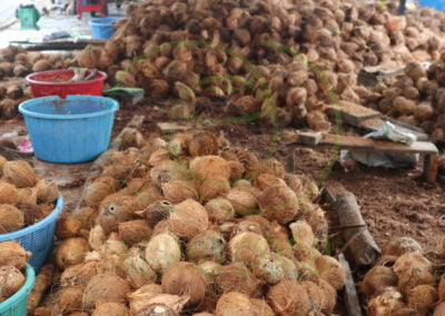 indonesian coconut