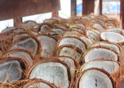 indonesian copra supplier