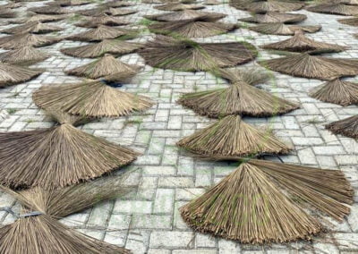 palm broom stick 1